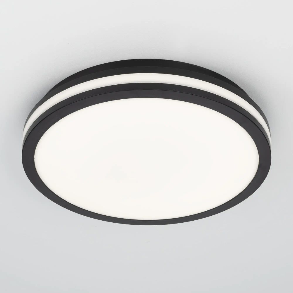 Citilux LUNS CL711021V LED Светильник влагозащищённый Чёрный