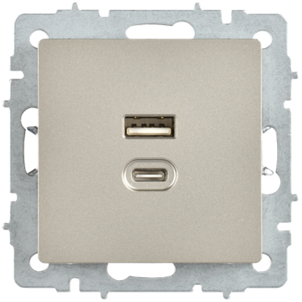 BRITE Розетка USB A+C 45Вт высокоскоростная зарядка РЮ11-2-БрШ шампань IEK