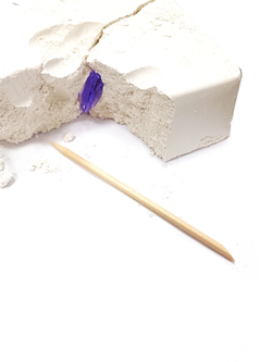 Раскопки 14 артефактов 4 рыбки, 10 мелких ракушек