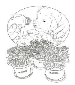 Lovely Dogs. Coloring book