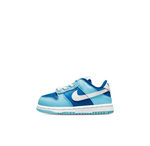 Детские кроссовки Nike Dunk Low Retro QS 'Argon' 2022 DV2634-400