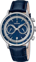 Мужские наручные часы Festina F16893/6