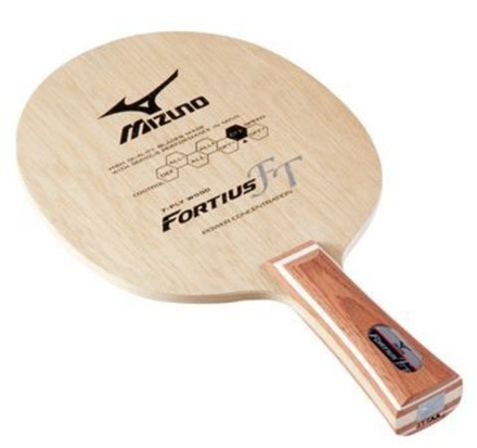 Mizuno Fortius FT