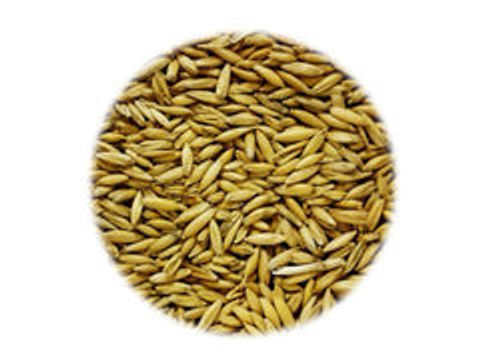 Солод Курский пивоваренный "Овсяный"