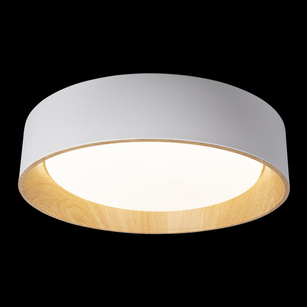 10202 White Потолочный светильник LOFT IT Coin