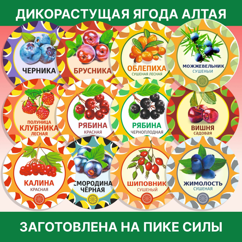 Лист толокнянки.