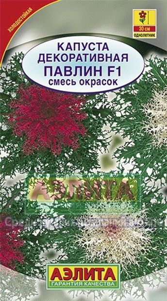 Капуста декоративная