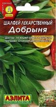 Шалфей
