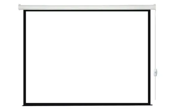 [LEC-100103] Экран с электроприводом Lumien Eco Control