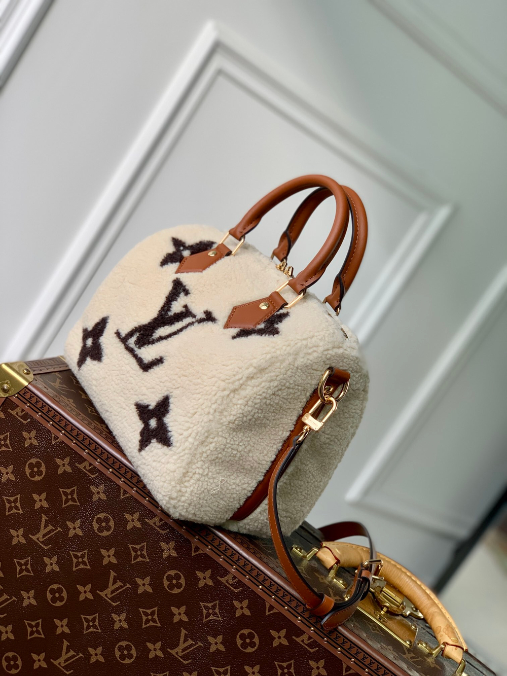 Louis Vuitton Speedy 25