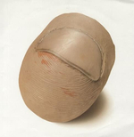 Beck / Mutations (Limited Edition)(LP+7" Vinyl Single)