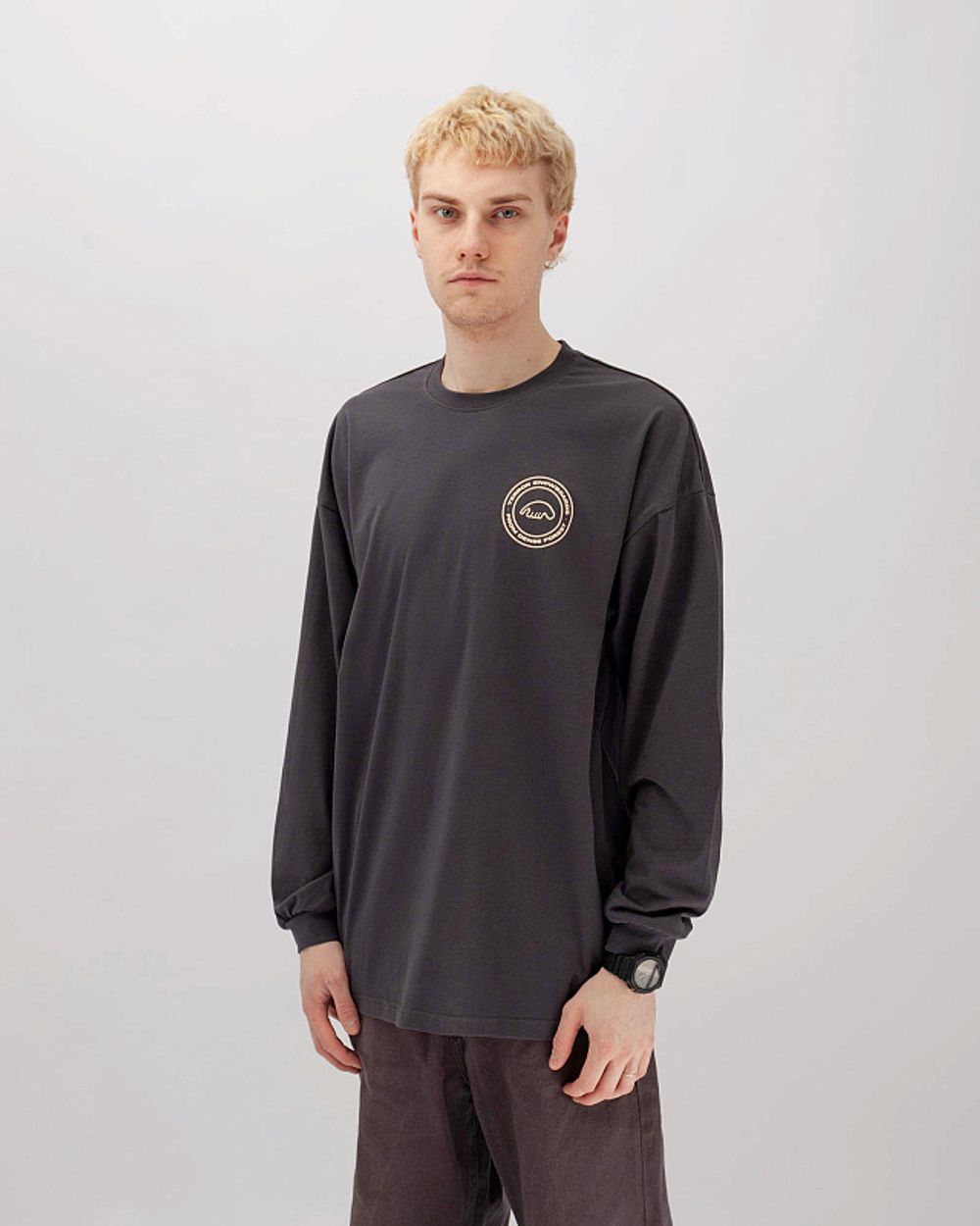 Лонгслив Anteater x Terror Snow Серый