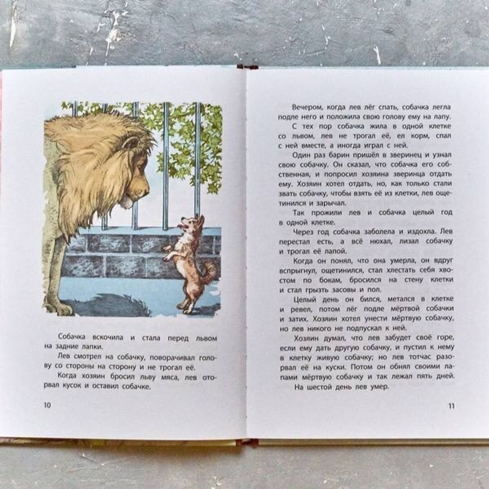 Рассказы, сказки, басни для детей