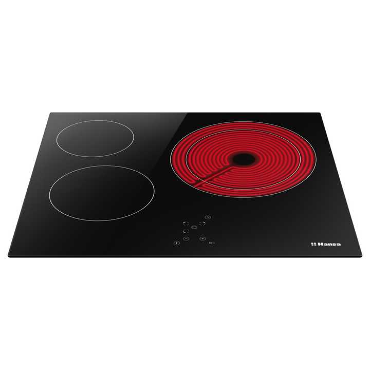 Электрическая панель Hansa BHC66206