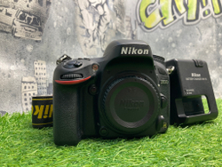 Nikon D600 10.000 кадров