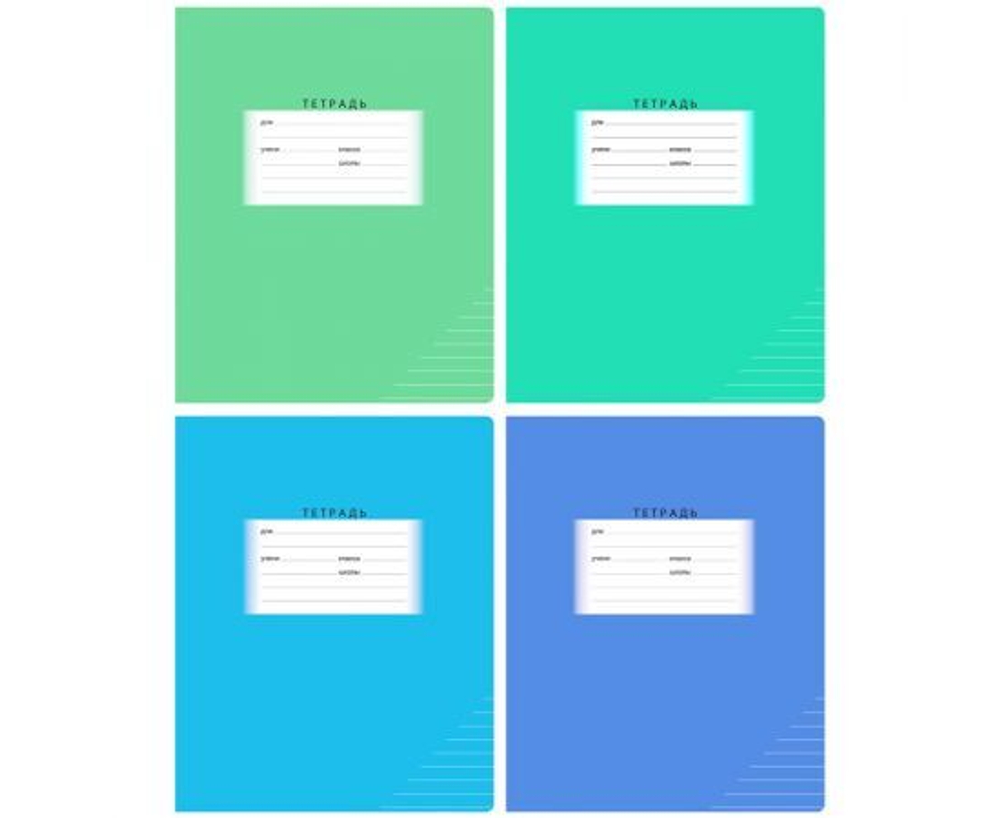 12 шт. Тетрадь 24л., линия BG "Школьная", эконом