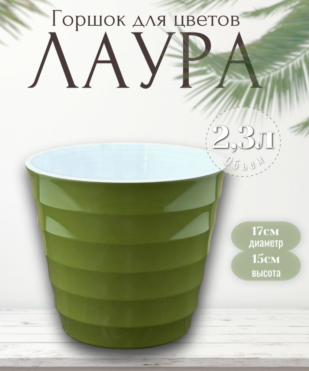 лаура2,3