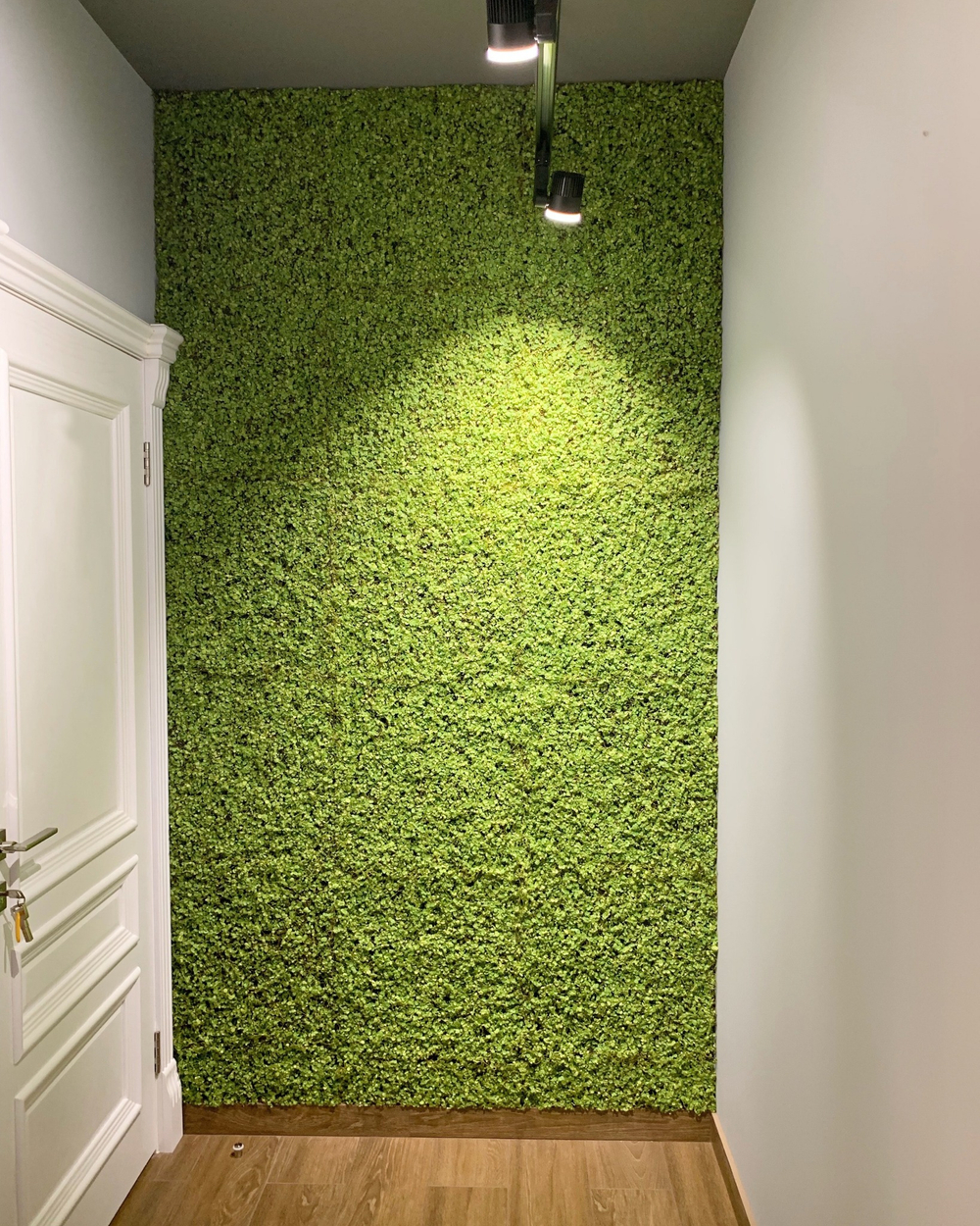 19.09. Озеленение кафе-пекарни "Ка Бриошь" г.Краснодар