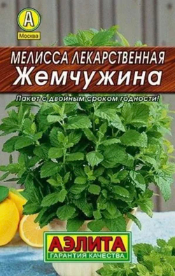 Мелисса Лекарственная, Жемчужина, Семена 0,1 гр.