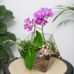 Готовый флорариум с пурпурной орхидеей Икос L