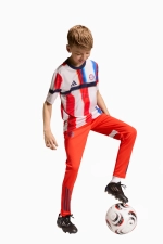 Футболка adidas FC Bayern 25/26 Pre-Match Junior - многоцветный