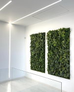 Панно из искусственного мха и растений для частного интерьера.