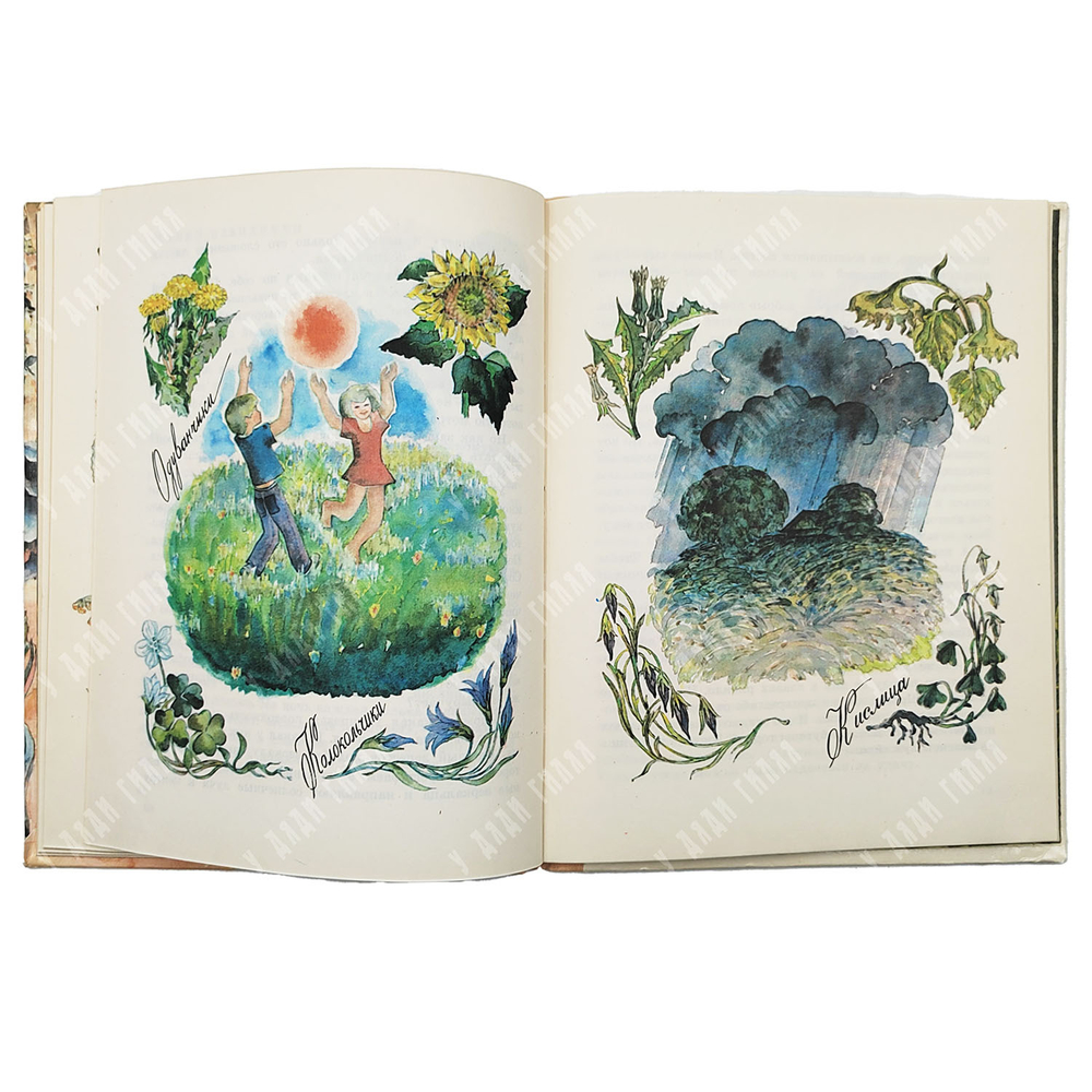 Осипов Н. Заколдованное дерево. – М.: Детская литература, 1978.