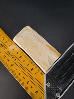 Бивень мамонта для поделок