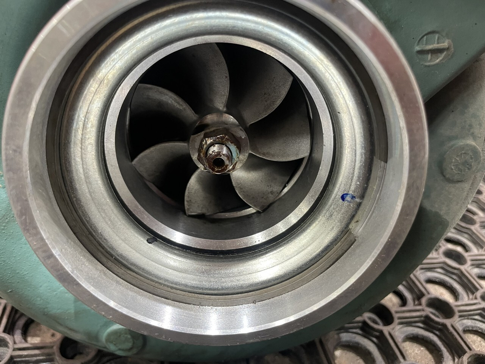 Турбина 2023г.