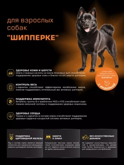 Корм сухой для собак породы Шипперке, с индейкой, 2,5 кг