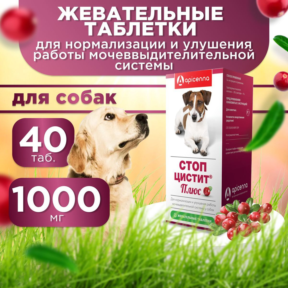 Кормовая добавка от цистита и для профилактики мочекаменной болезни у собак, Стоп-Цистит ПЛЮС, жевательные таблетки со вкусом печени, 40таб