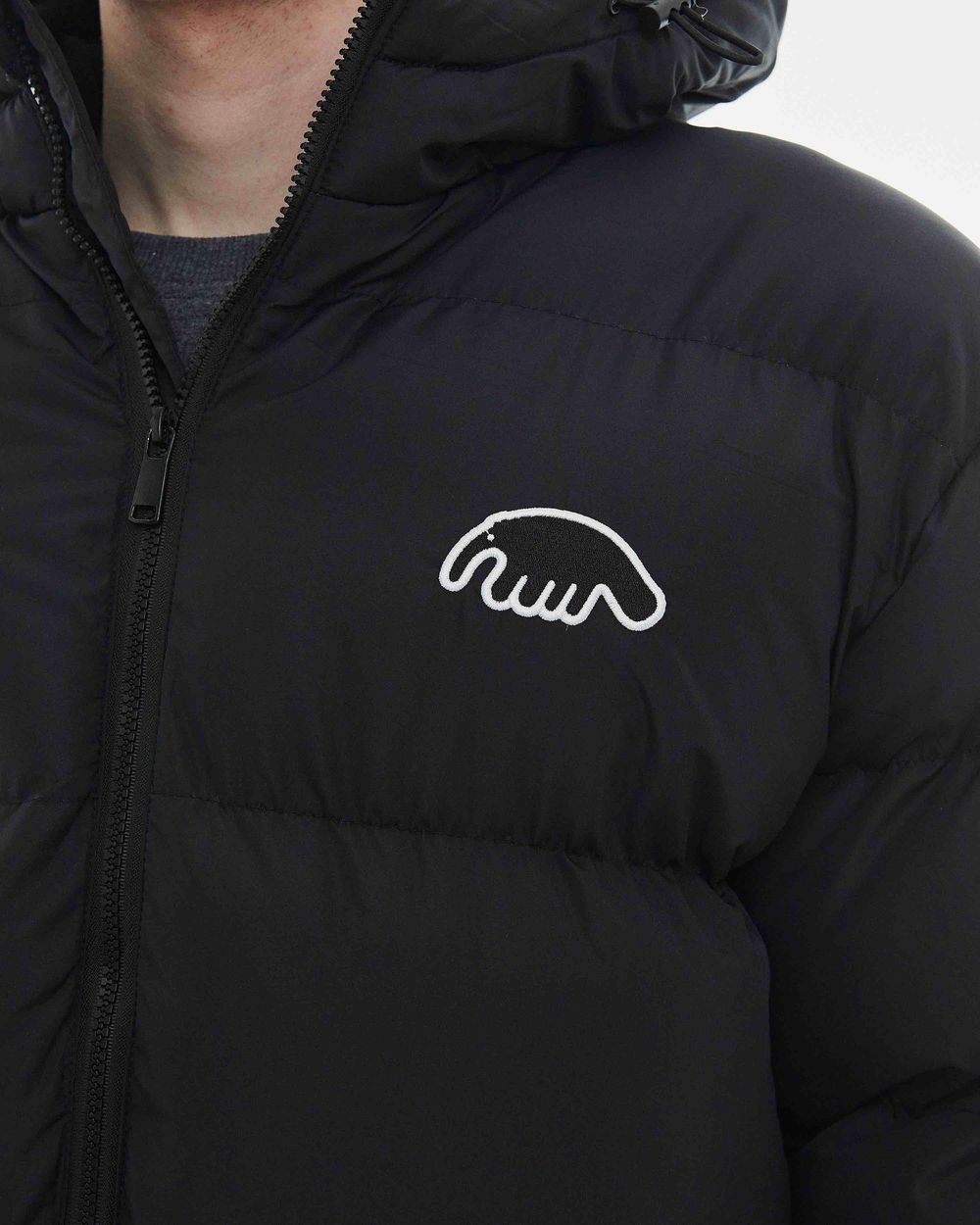 Пуховик Anteater Downjacket Hooded черный