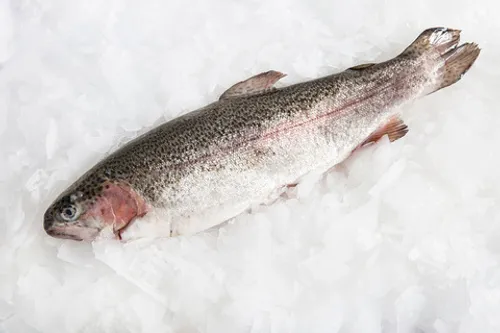 Форель охл ПСГ 1,5-2,0