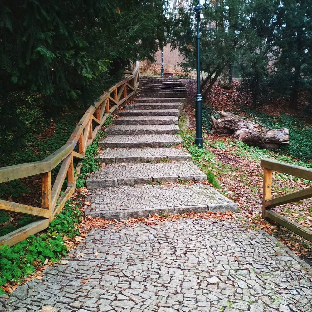 Грифон