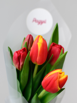 Тюльпаны микс