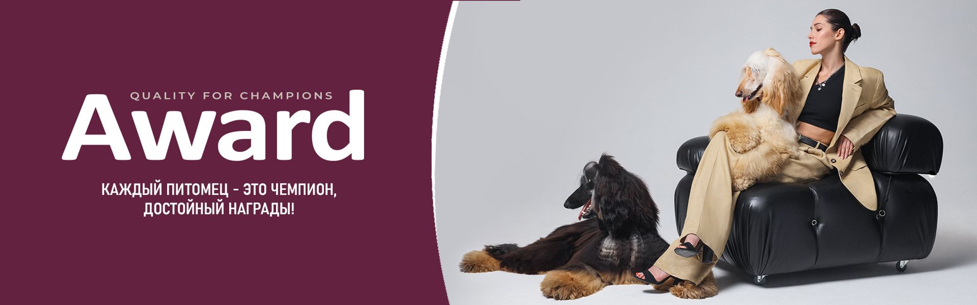 Баннеры Блок 6