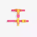 Шлейка NEOPRO LYRA Zee.Dog