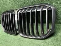 Решетка радиатора BMW X7 G07 (2019-2022)