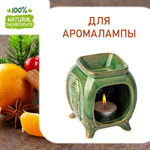Пряный мандарин, отдушка для свечей и мыла