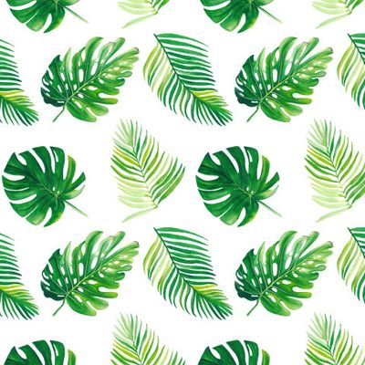 Тропические листья