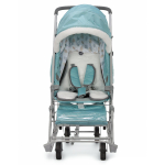 Санки-коляска "Ника детям 7-5" мятный с шишкой (серый каркас)