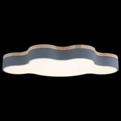 Накладной светильник Loft it 10005/36 Grey
