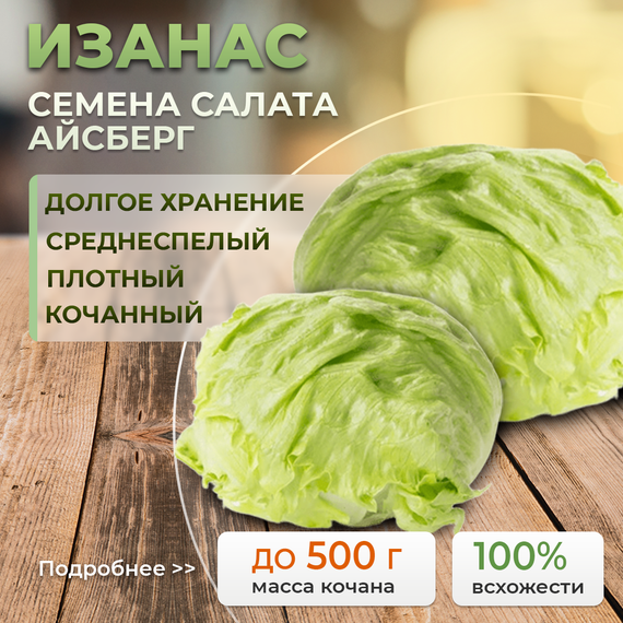 ИЗАНАС семена салата Rijk Zwaan описание