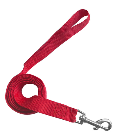 ZOONIK Поводок стропа цветная 20 мм, длина 3 м