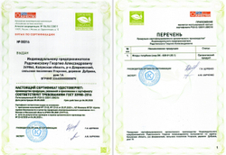 Голубика отборная Органик