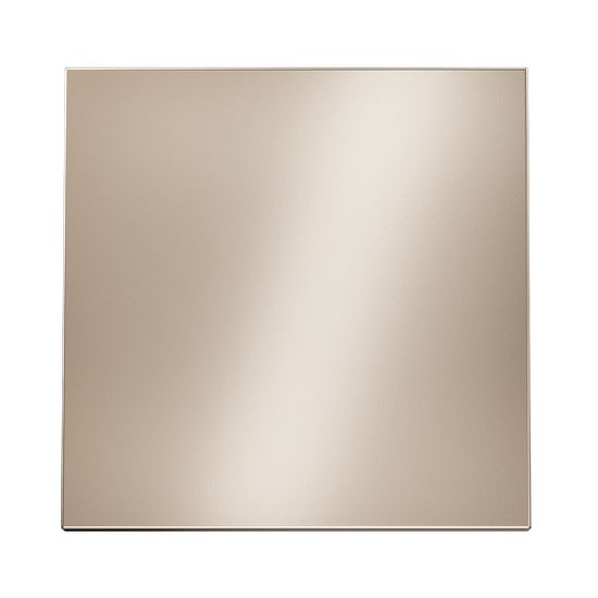 Клавиша для выключателя/переключателя одноклавишного, S70 Metal (платина)