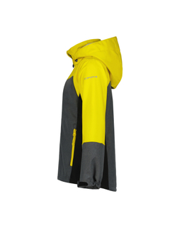 Куртка softshell B Icepeak