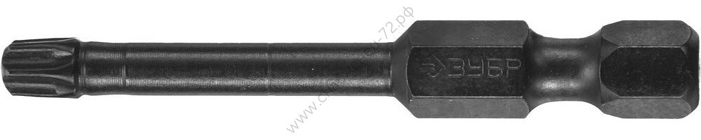 ЗУБР TX 25, 50 мм, 2 шт., Ударные биты (26025-25-50-S2)