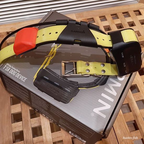 Garmin Alpha T 5X собачий ошейник