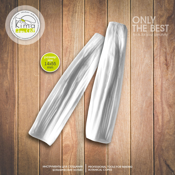 Крокус чешуйка прямоугольная